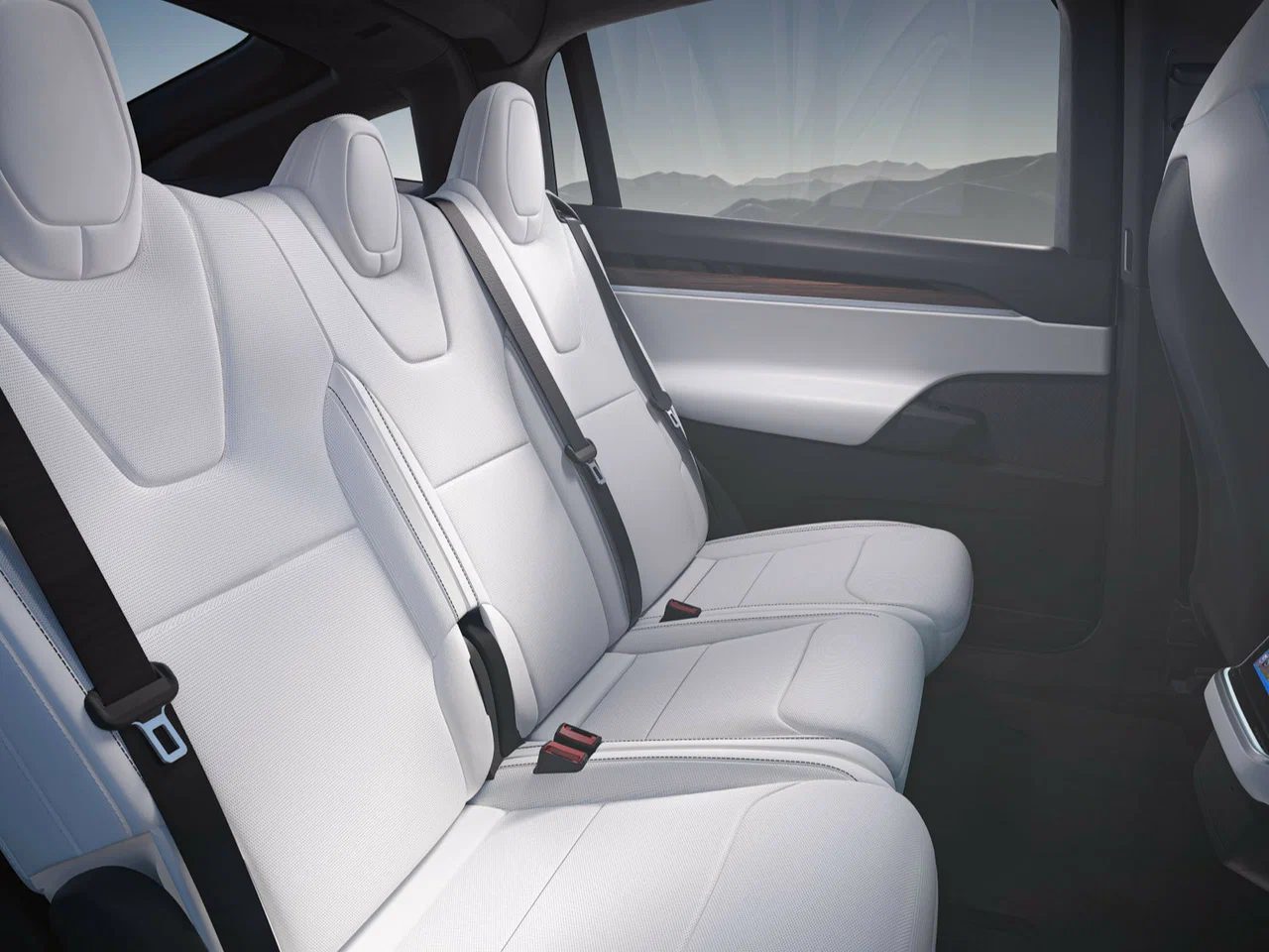 Tesla Model X - photo 6