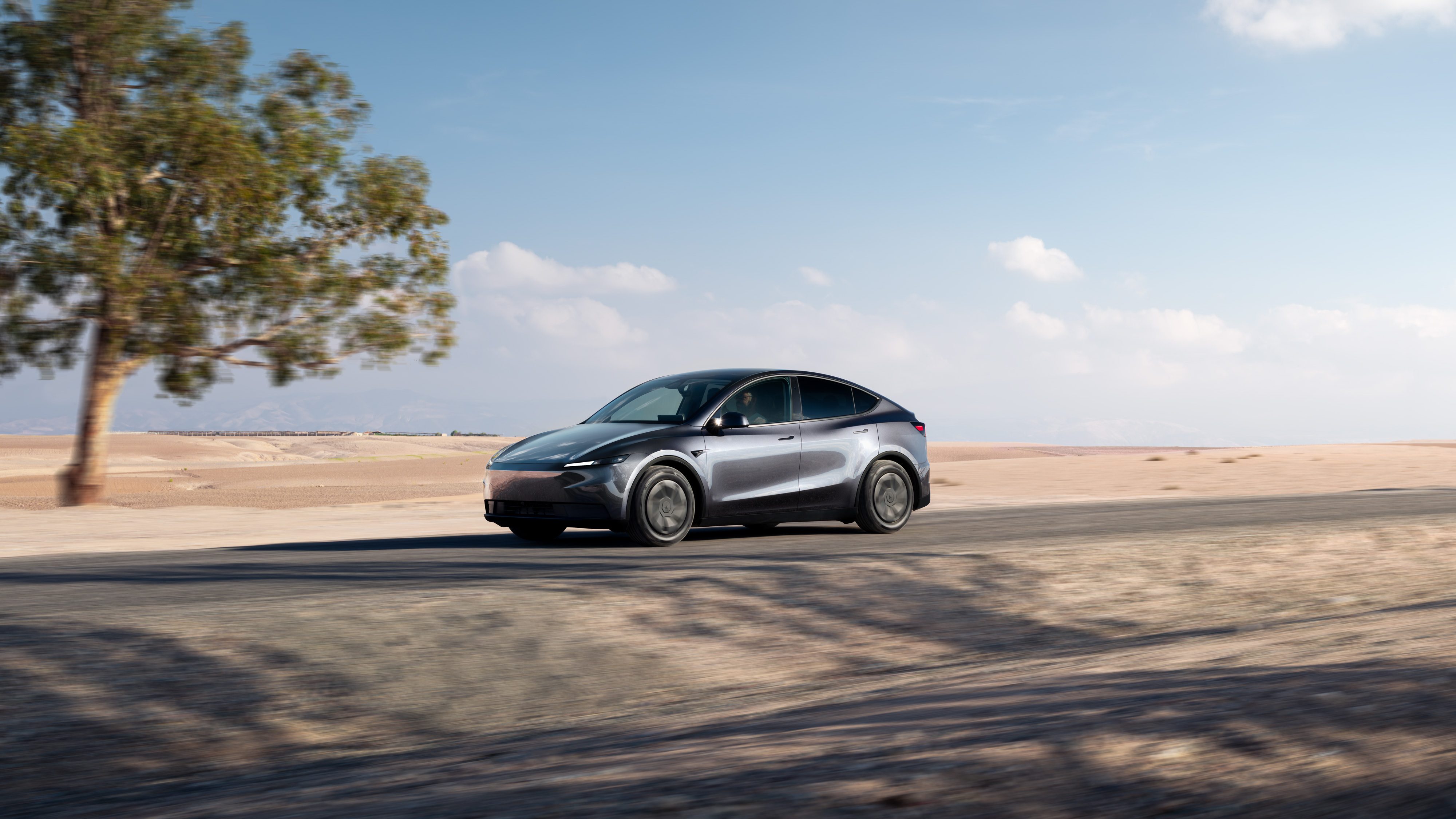 Model Y