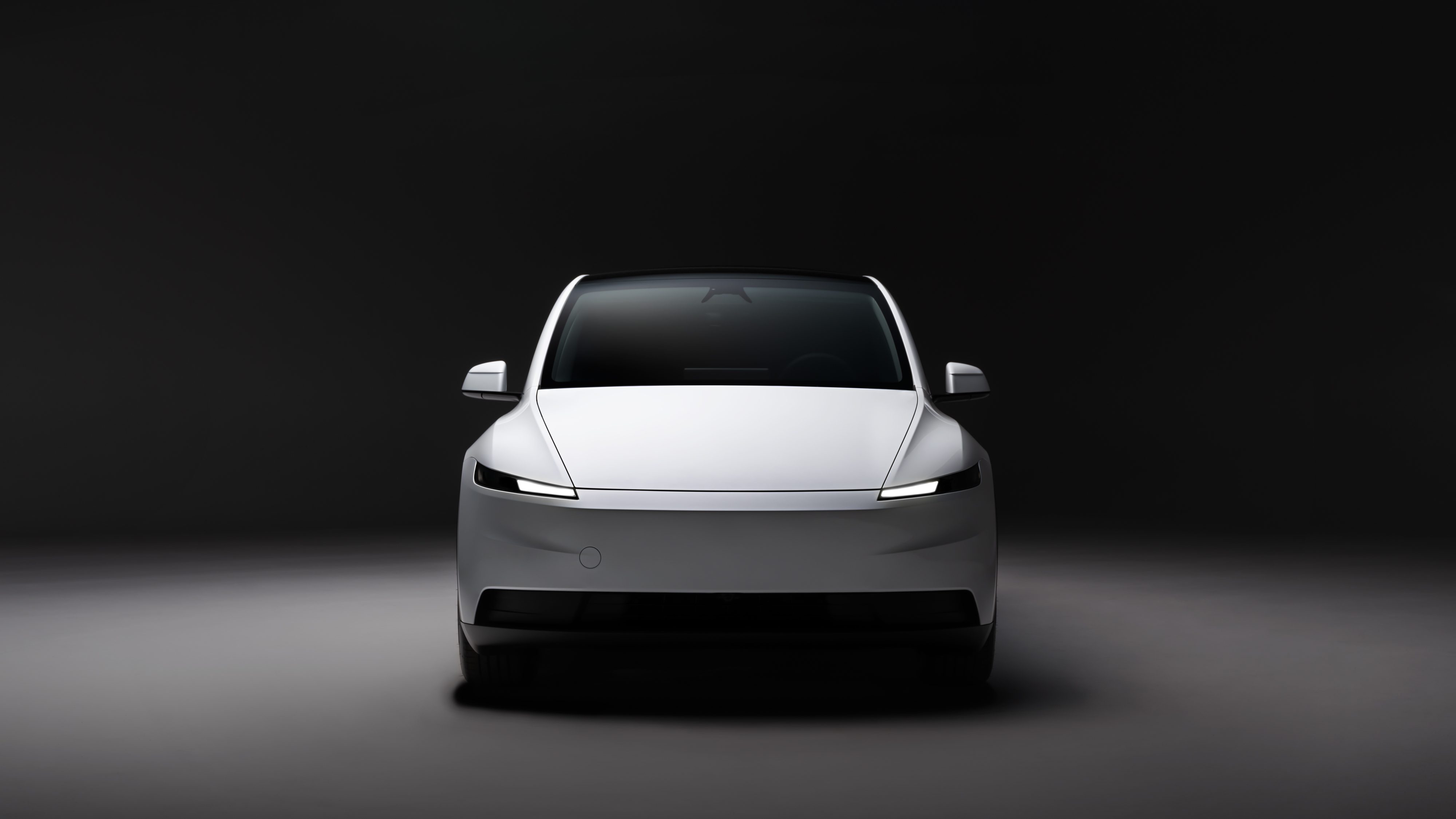 Tesla Model Y - photo 6