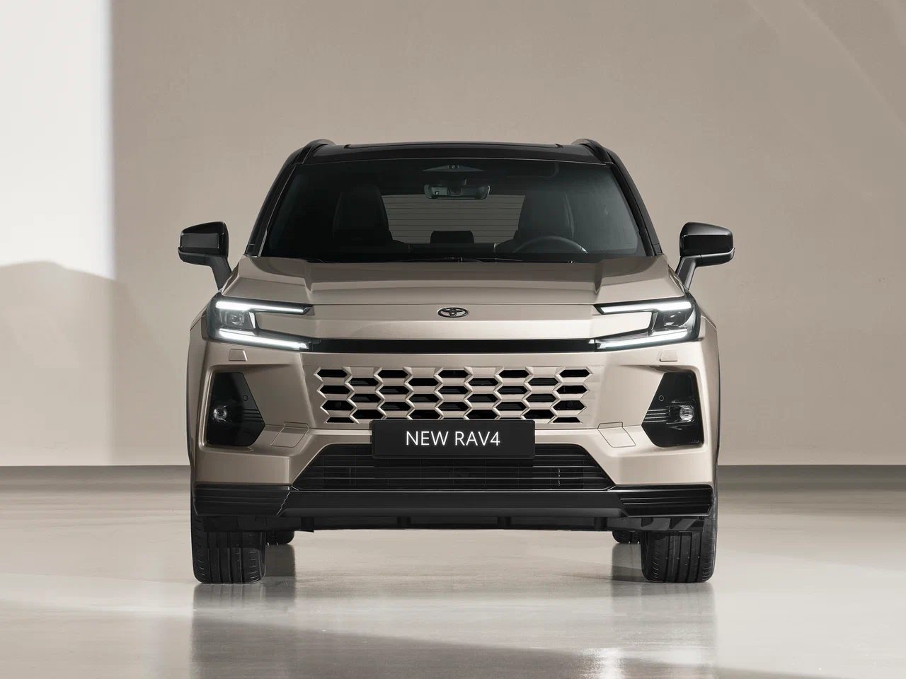 Toyota RAV4 - photo 3