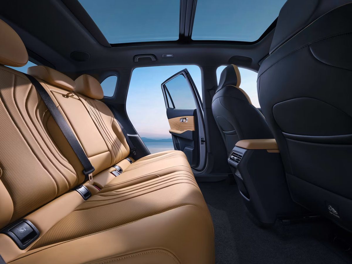 Geely Starray EM-i - photo 11