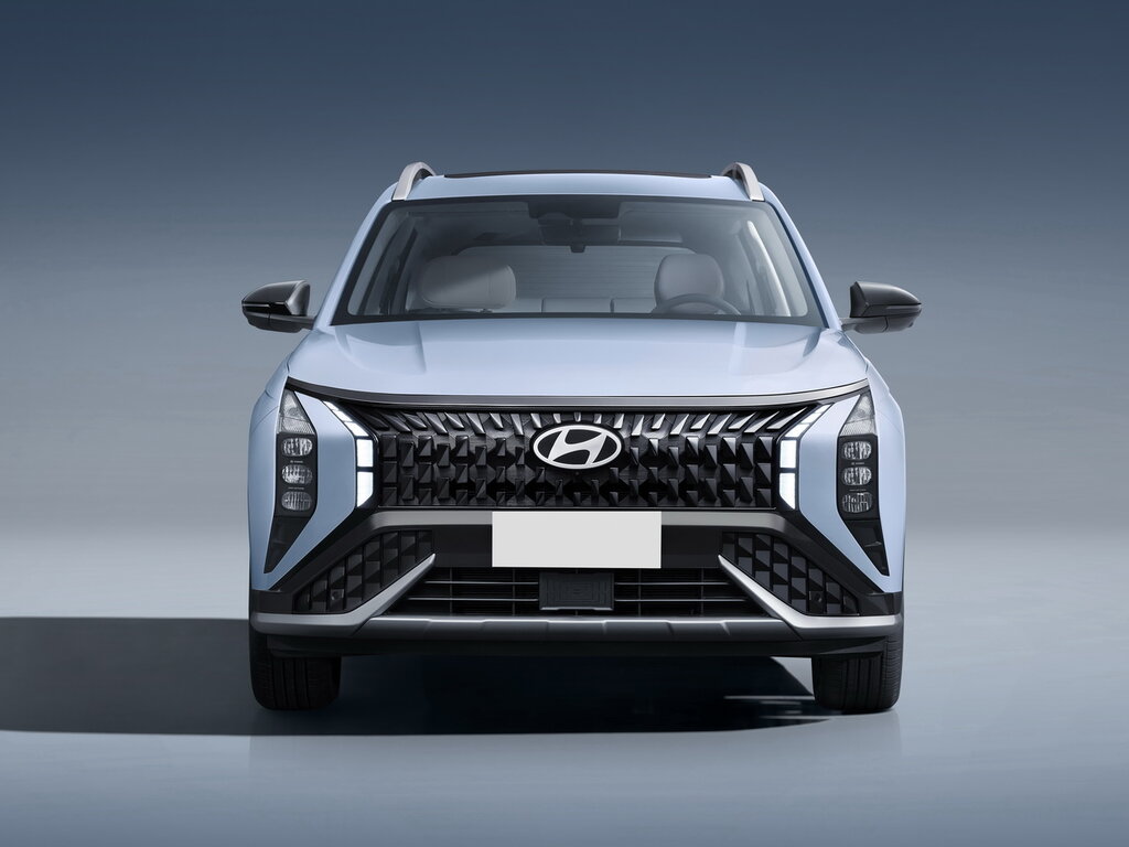 Hyundai Mufasa - photo 2
