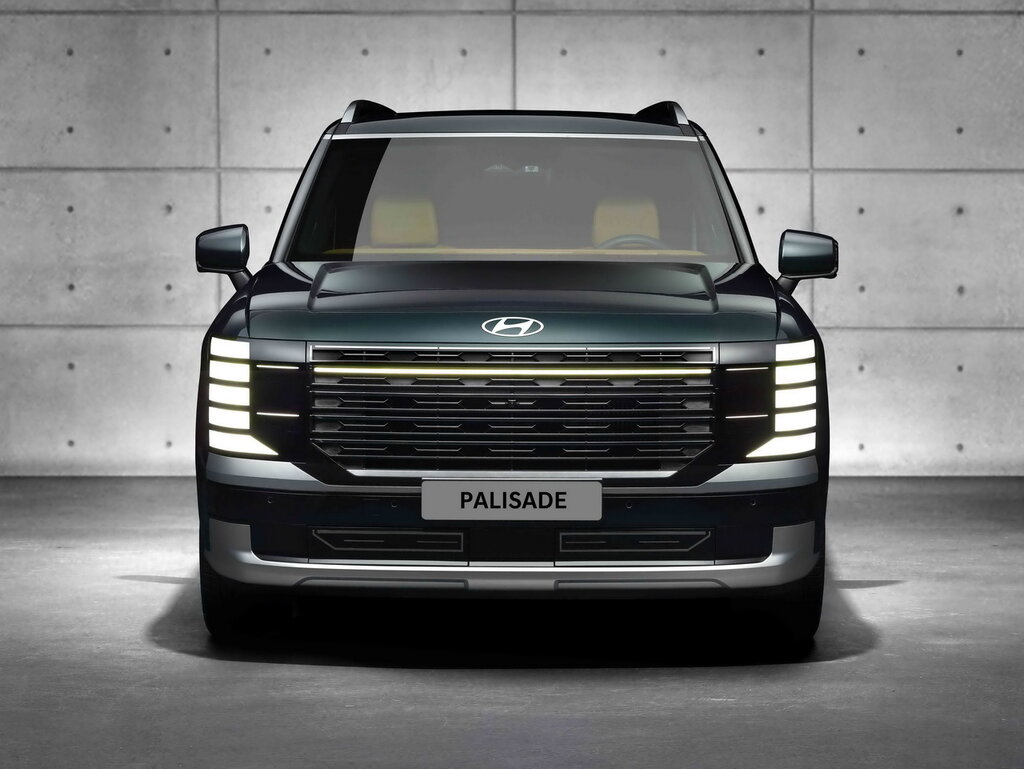 Hyundai Palisade - photo 3