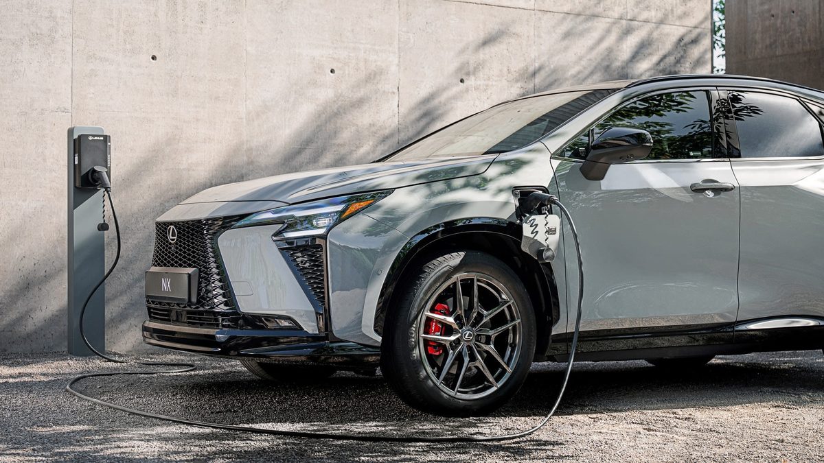 Lexus NX - photo 5