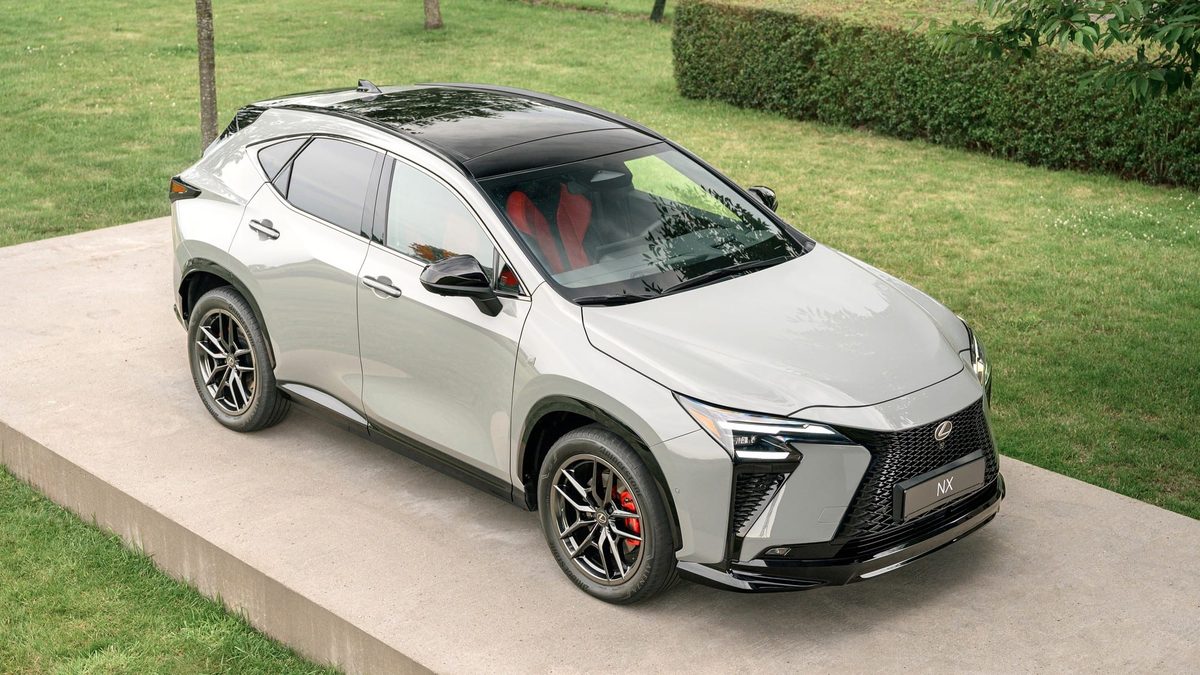 Lexus NX - photo 6