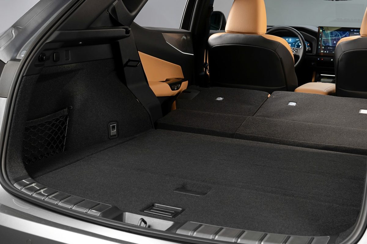 Lexus NX - photo 11