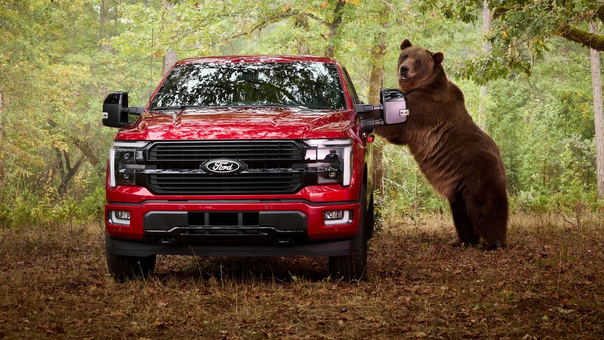 Ford hired an 800 lb bear to test F-150 security