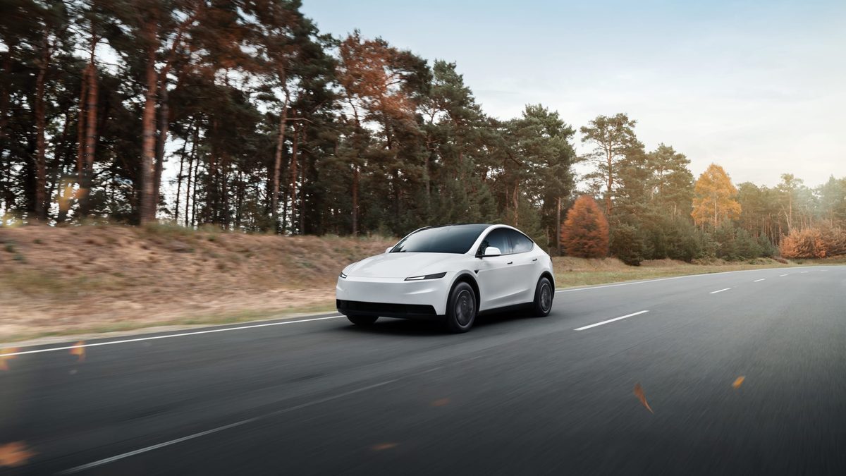 Tesla Model Y - photo 2