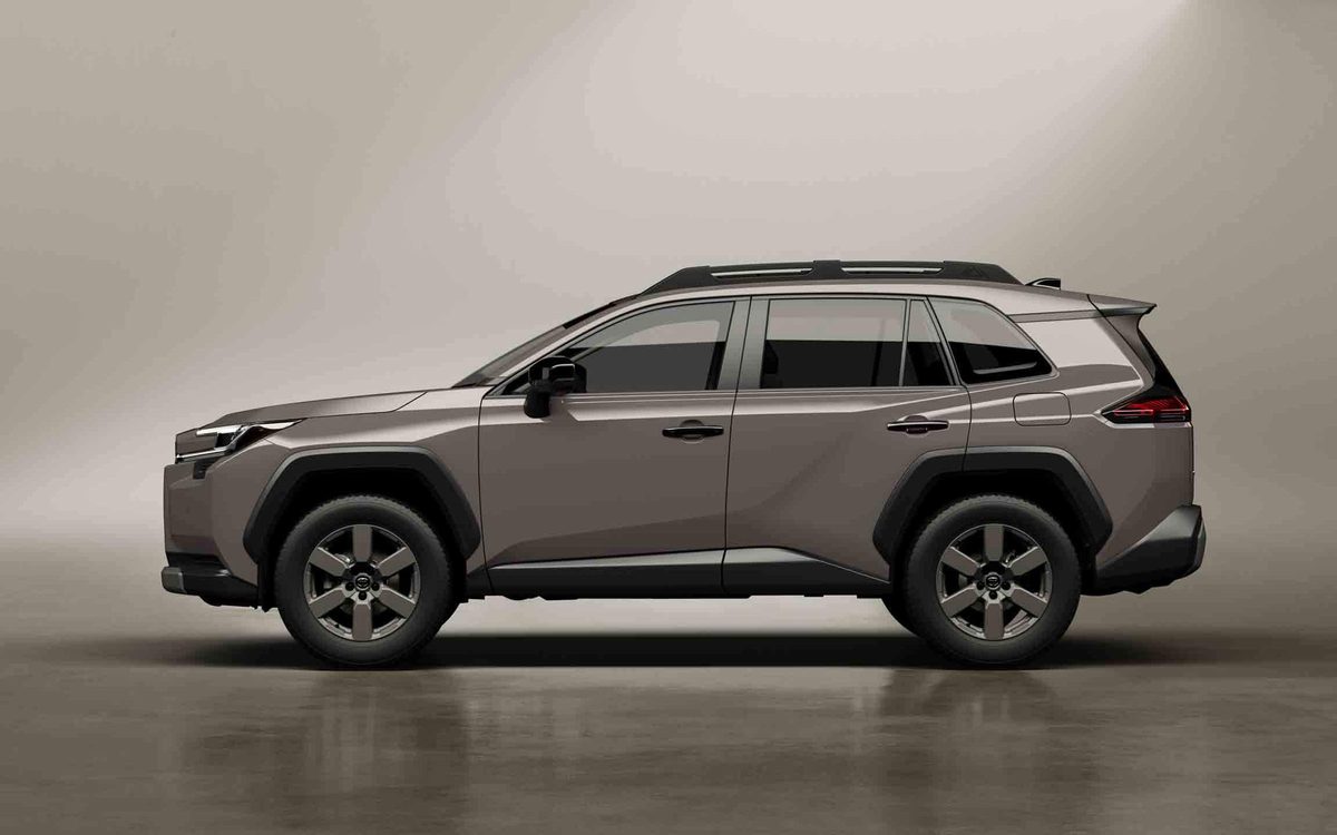 Toyota RAV4 Rongfang - photo 4