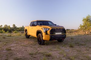 Tundra